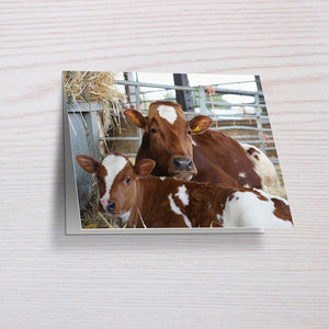 greeting cards